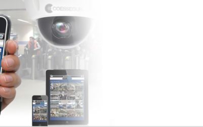 3 pasos para evitar incendios en árboles de navidad